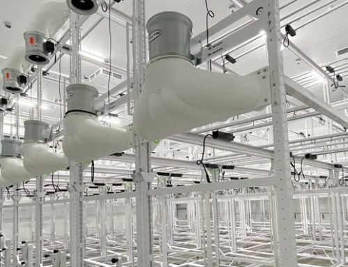 Is Large Scale Cultivation Right for You? What to Consider If You Want to Grow Your Cannabis Operation