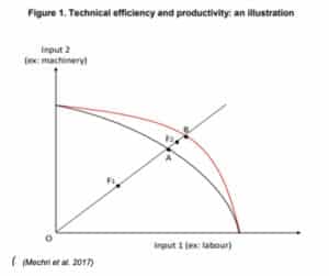Technical Efficiency Graph