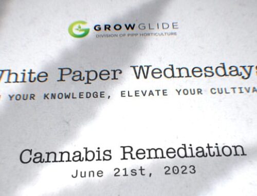Cannabis Remediation: The Costs, Benefits, and Implications