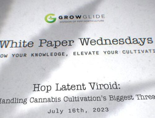 Hop Latent Viroid (HLVd): Handling Cannabis Cultivation’s Biggest Threat