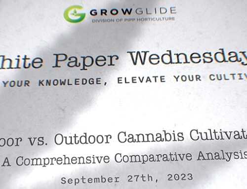 Indoor vs. Outdoor Cannabis Cultivation: A Comprehensive Comparative Analysis