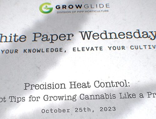 Precision Heat Control: Hot Tips for Growing Cannabis Like a Pro!